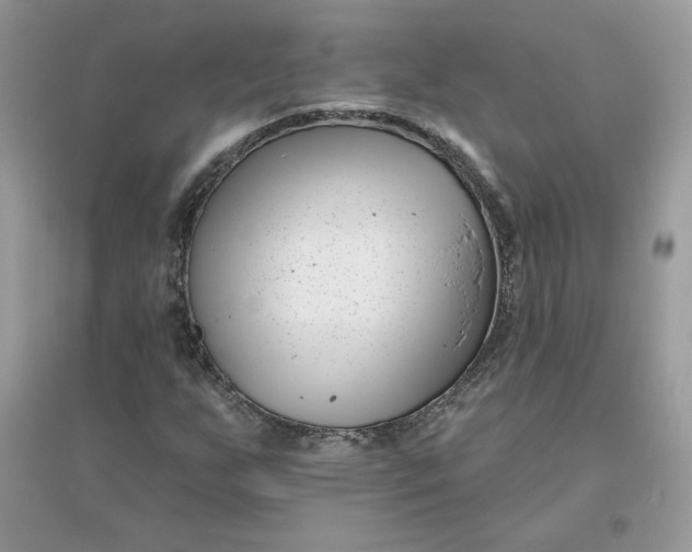 X0000096131255200802011140