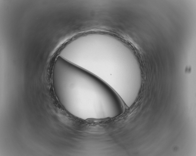X0000096131256200802011140