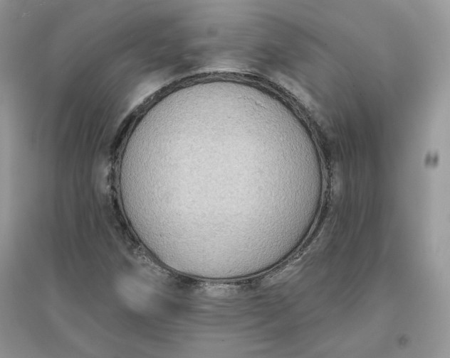 X0000096131258200802011140