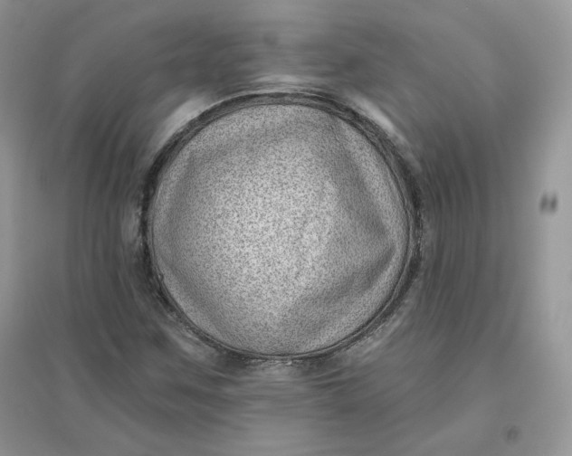 X0000096131259200802011140