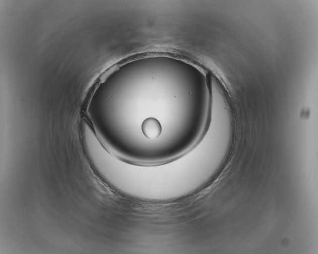 X0000096131260200802011140