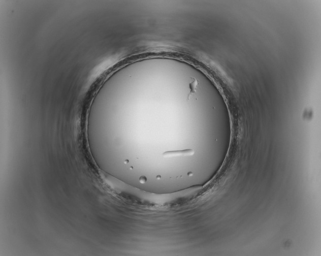 X0000096131261200802011140