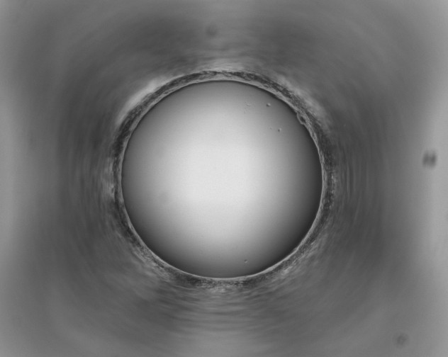 X0000096131262200802011140