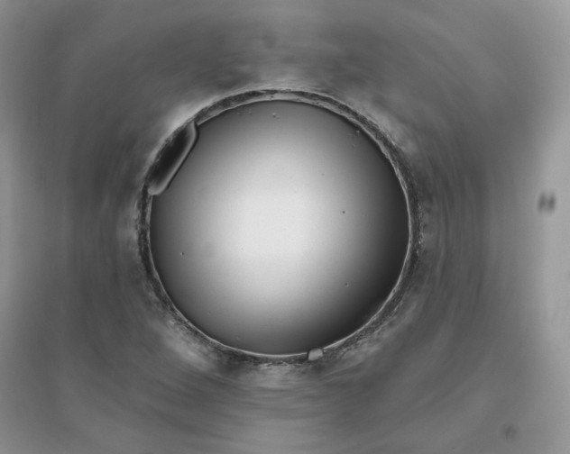 X0000096131264200802011140