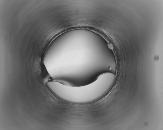 X0000096131265200802011140