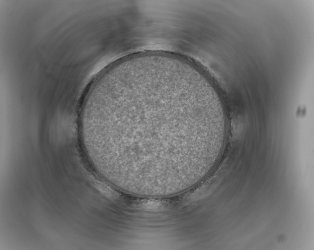 X0000096131266200802011140