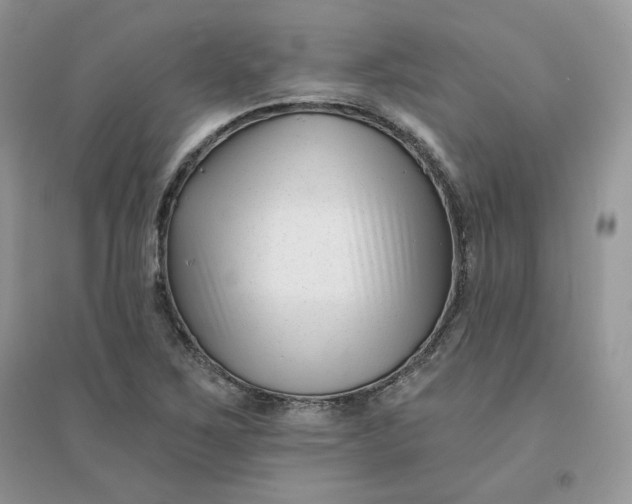 X0000096131267200802011140