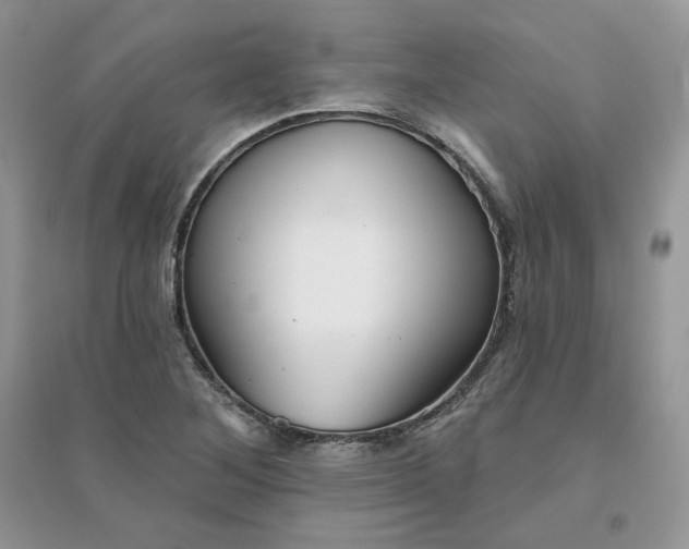 X0000096131268200802011140