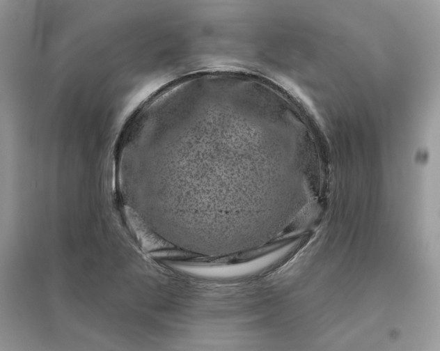 X0000096131269200802011140