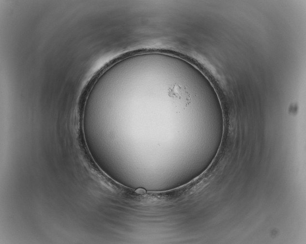 X0000096131270200802011140