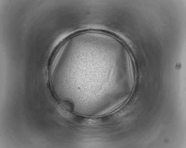 X0000096131271200802011140
