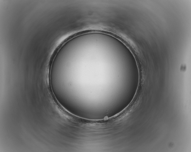 X0000096131272200802011139