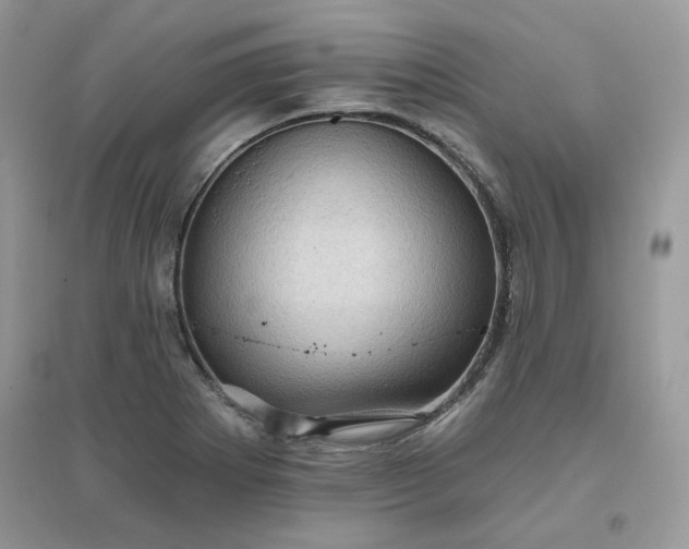X0000096131273200802011139
