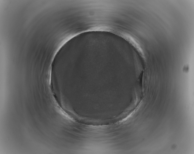 X0000096131276200802011139