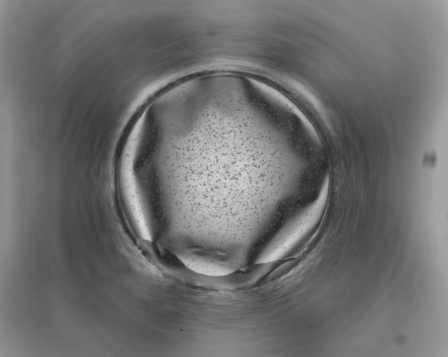 X0000096131280200802011139