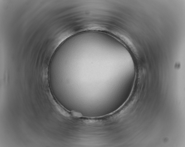 X0000096131281200802011139