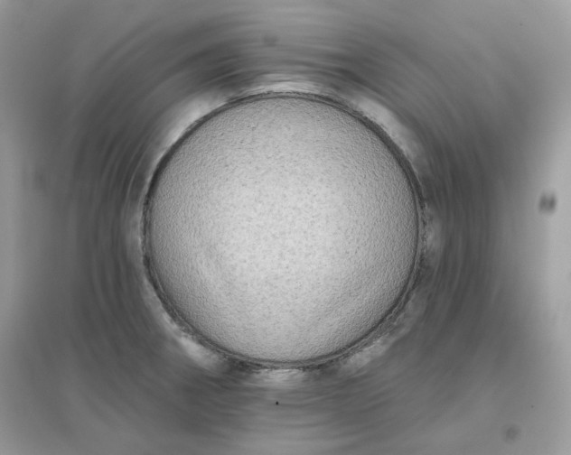 X0000096131282200802011139