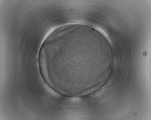 X0000096131283200802011139