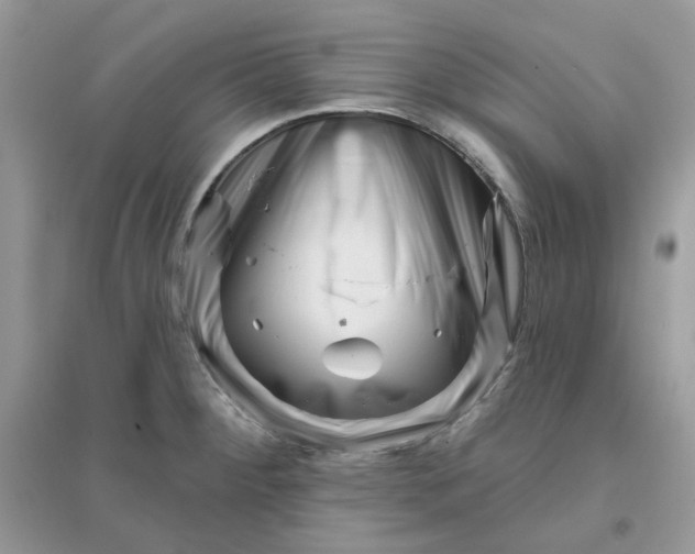 X0000096131284200802011139