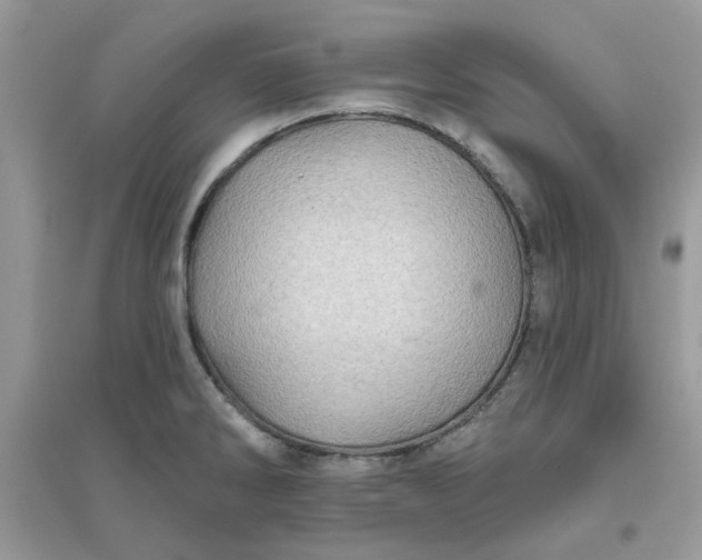 X0000096131286200802011139
