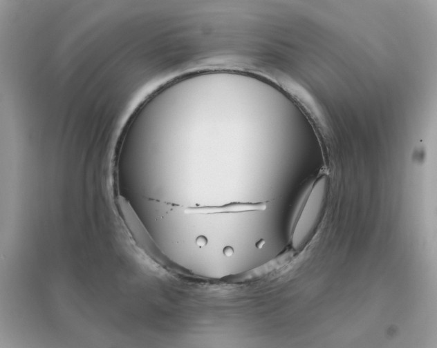 X0000096131288200802011139