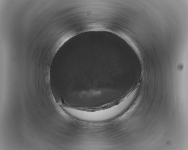 X0000096131289200802011139