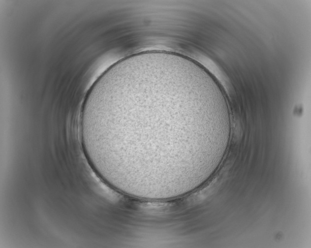 X0000096131290200802011139