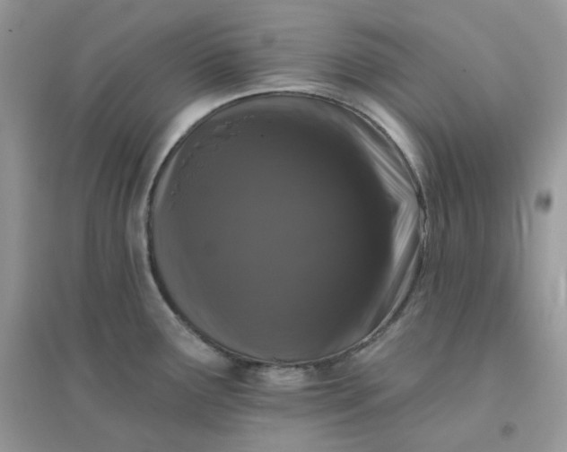 X0000096131291200802011139