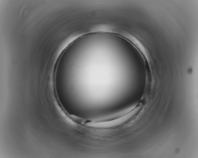 X0000096131293200802011139