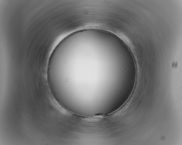 X0000096131296200802011139