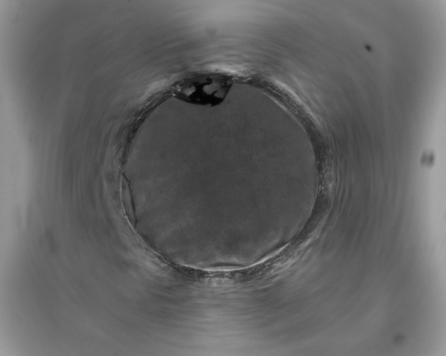 X0000096131297200802011138