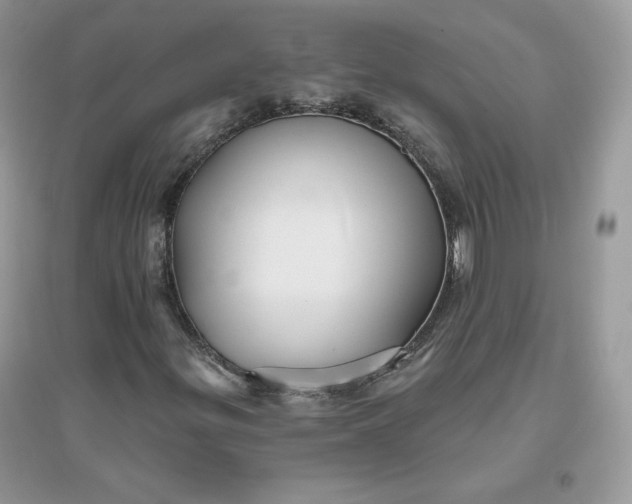 X0000096131299200802011138