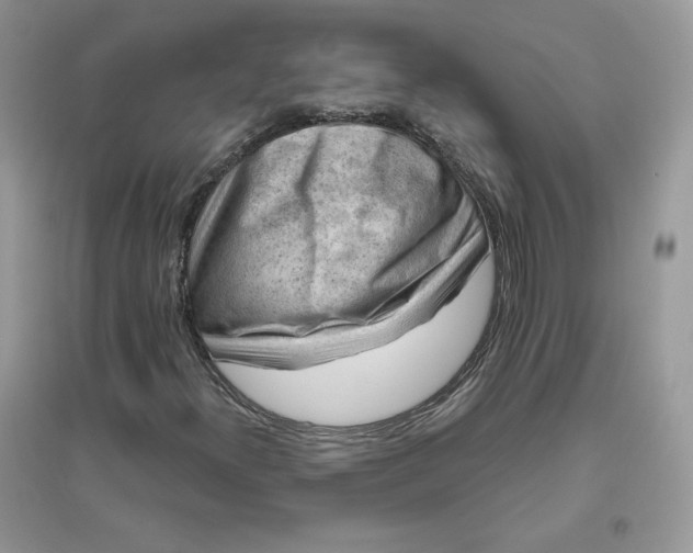 X0000096131300200802011138