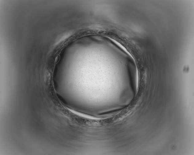 X0000096131302200802011138