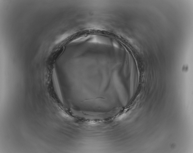 X0000096131303200802011138