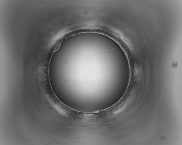 X0000096131304200802011138