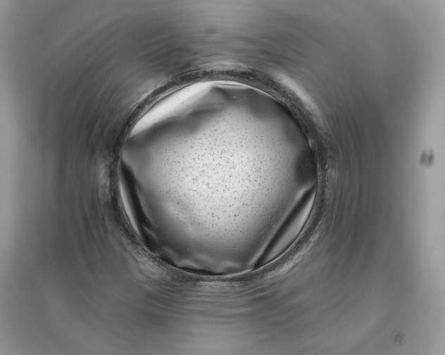 X0000096131305200802011138