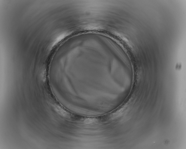 X0000096131306200802011138