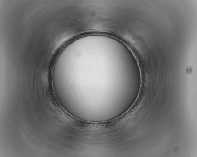 X0000096131307200802011138