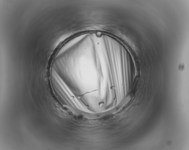 X0000096131308200802011138