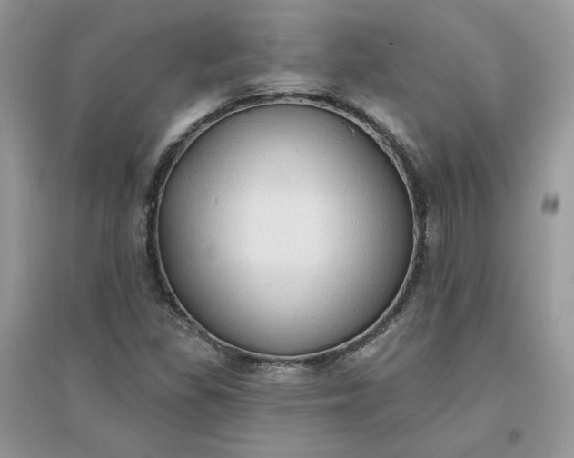 X0000096131309200802011139