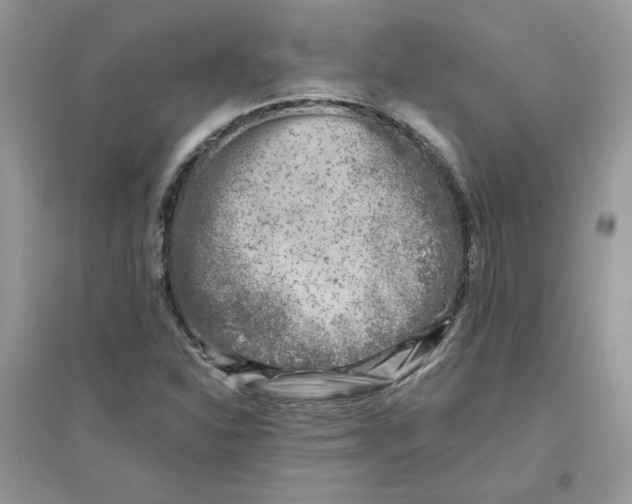 X0000096131310200802011139