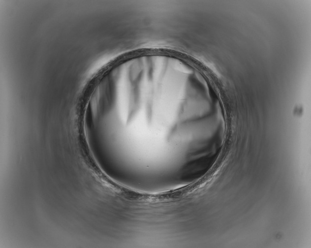X0000096131311200802011139