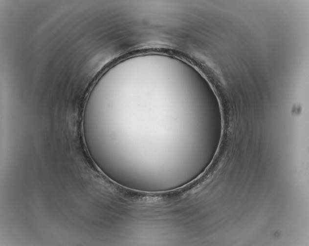 X0000096131313200802011139