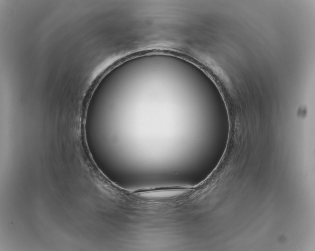 X0000096131316200802011139