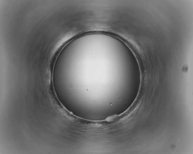 X0000096131317200802011139