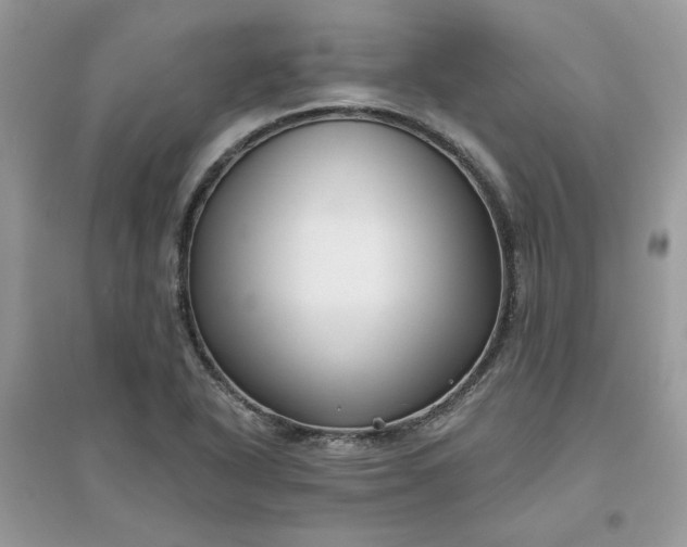 X0000096131318200802011139