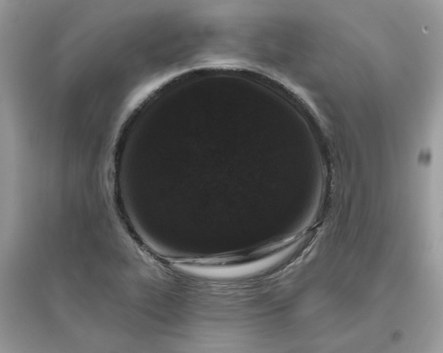 X0000096131319200802011139