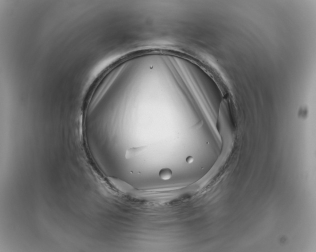 X0000096131320200802011139