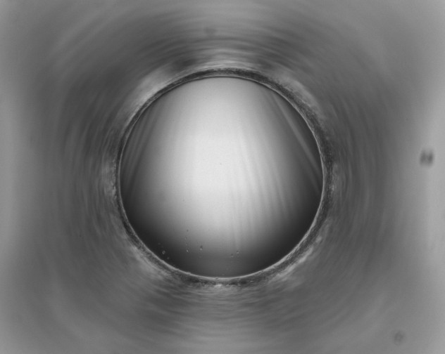 X0000096131321200802011139